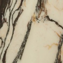 gallery_8.jpg