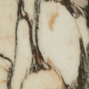 gallery_9.jpg