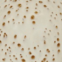 gallery_4.jpg