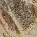 Image 13