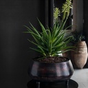 gallery_1.jpg