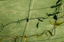 gallery_0.jpg