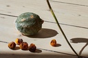 gallery_0.jpg