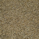 gallery_9.jpg