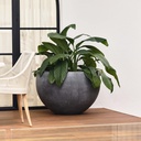 gallery_1.jpg