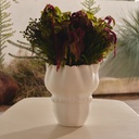 gallery_1.jpg