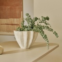 gallery_0.jpg