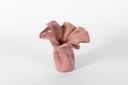 Dancing Vase Pink