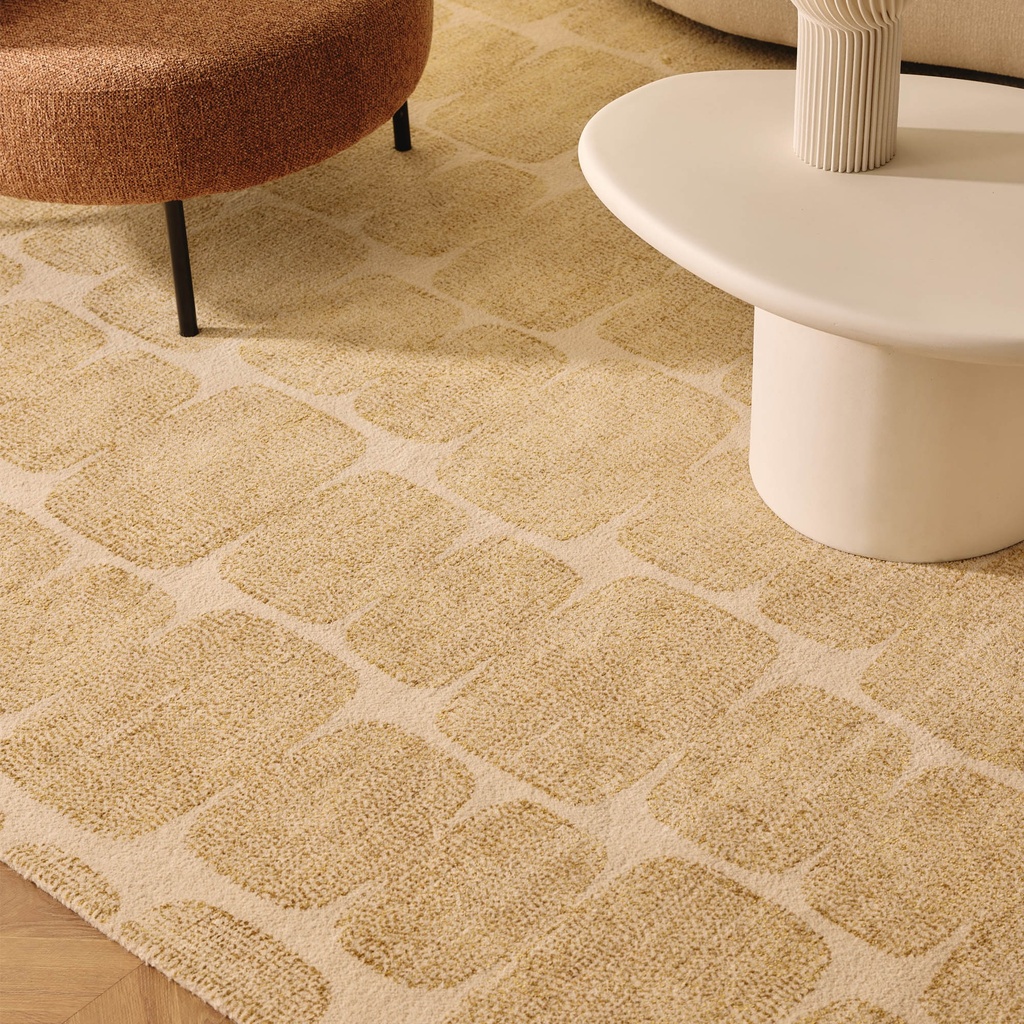 Aoki Rug 300 x 400