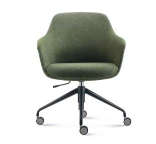Aslan Swivel