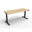 Focus Workstation System