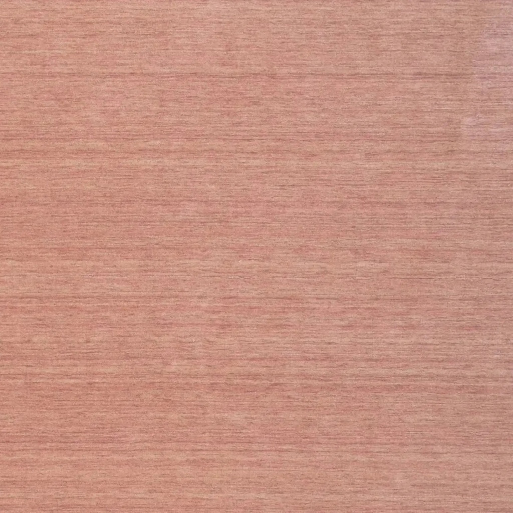 [FA-DI-EJ09] Anya Pink Salt Rug Swatch