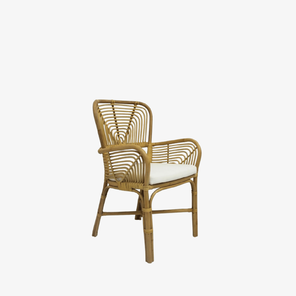 [DC-006DL] Ashaya Arm Chair